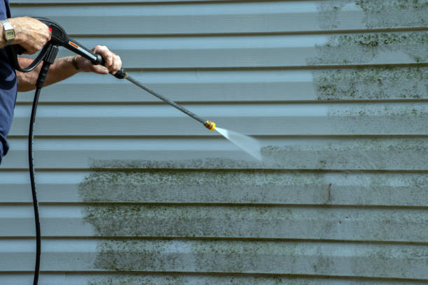 Best Gutter Cleaning  in Canton Valley, CT