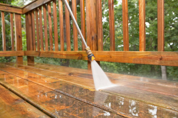 Animal Enclosure Cleaning in Canton Valley, CT